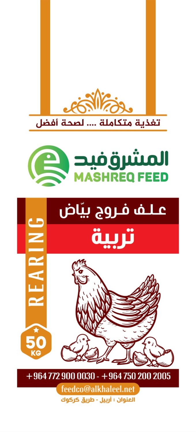 ئالیکی مریشکی هێلکە — پەروەردە